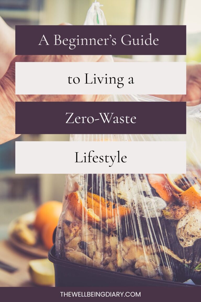 A Beginner's Guide to Living a Zero Waste Lifestyle