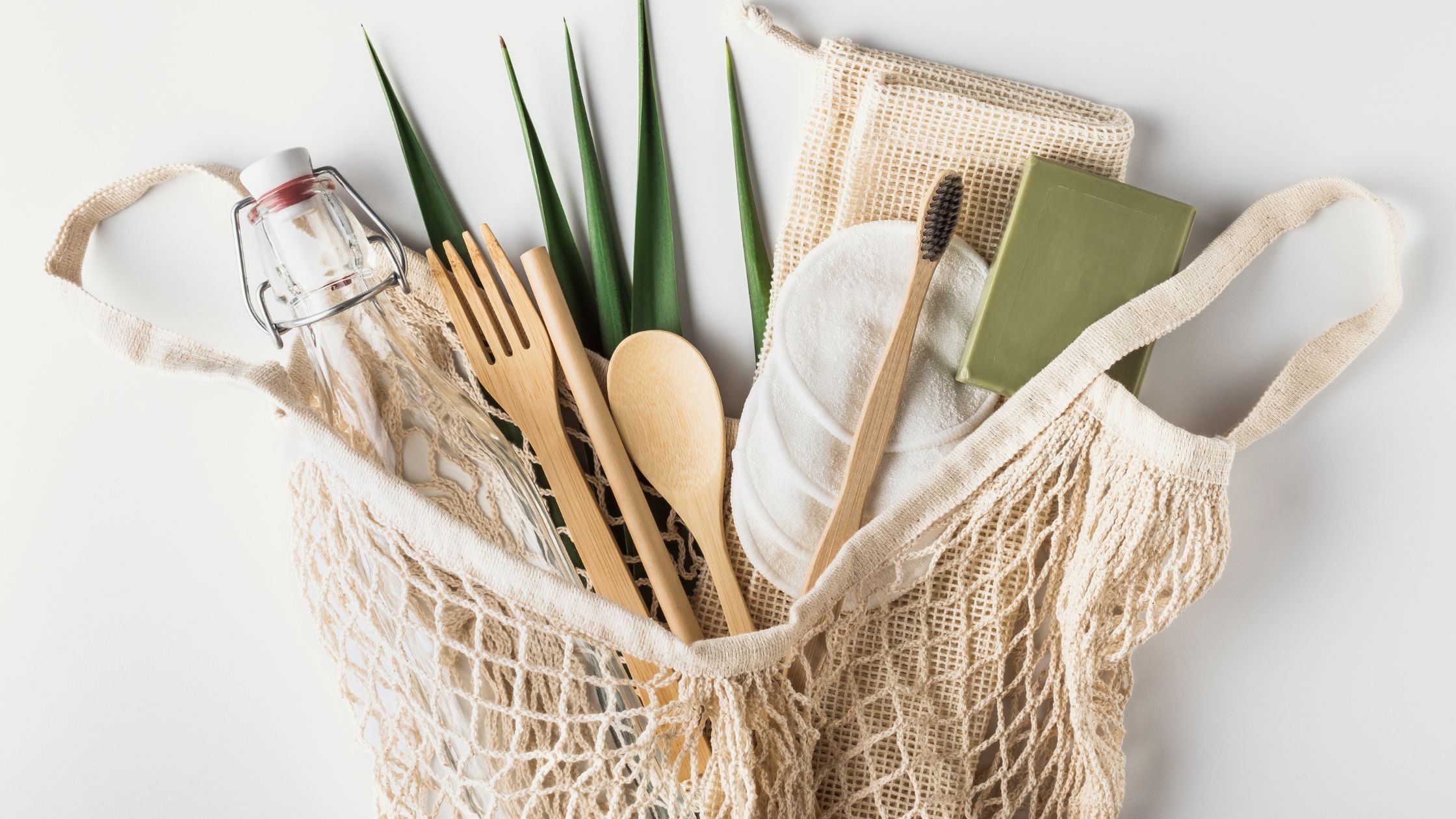 A Beginner's Guide to Living a Zero-Waste Lifestyle