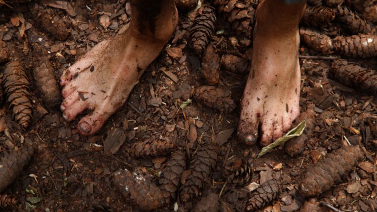 10 Surprising Health Benefits of Being Barefoot
