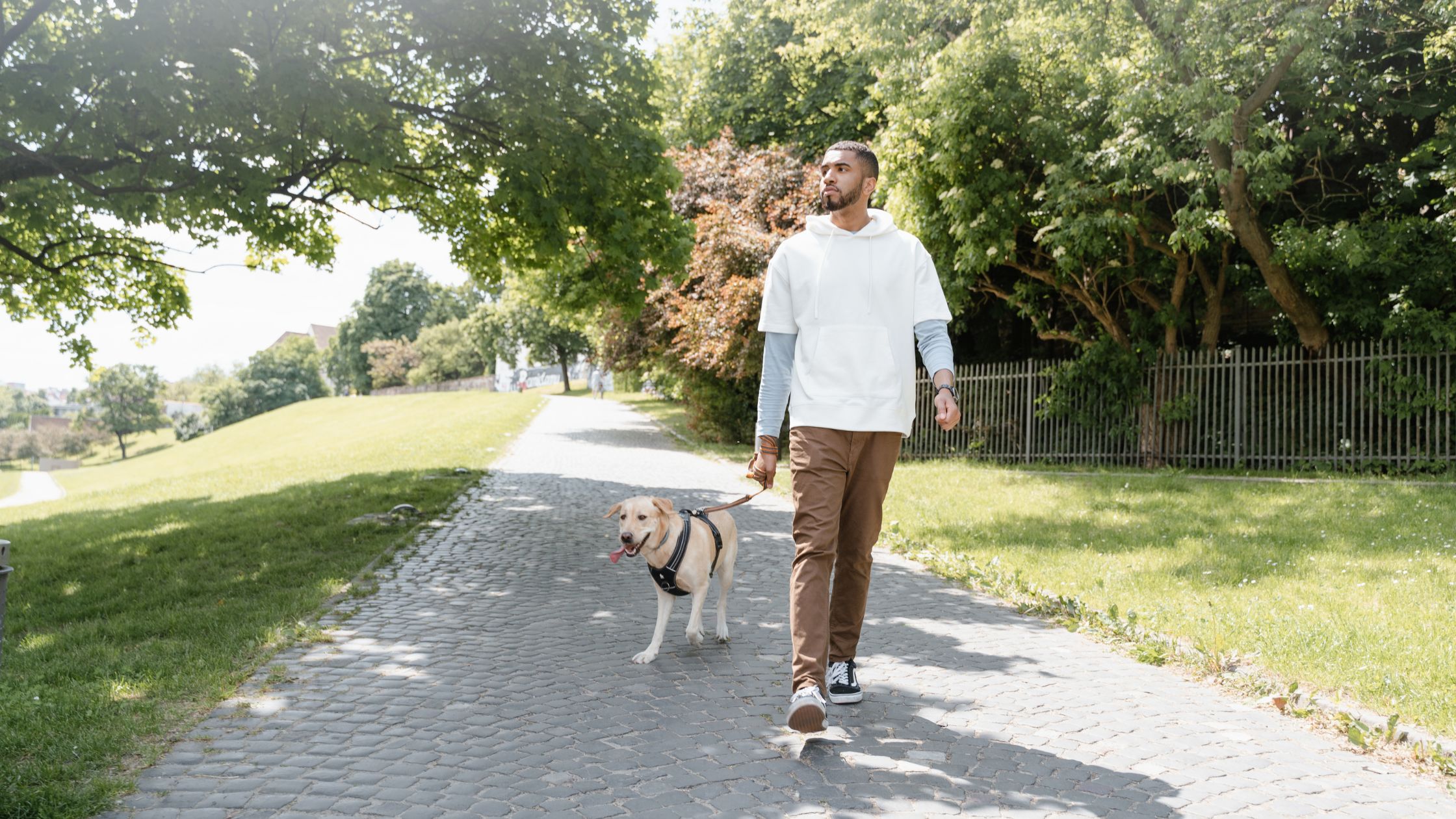 Why daily movement is the key to long term health